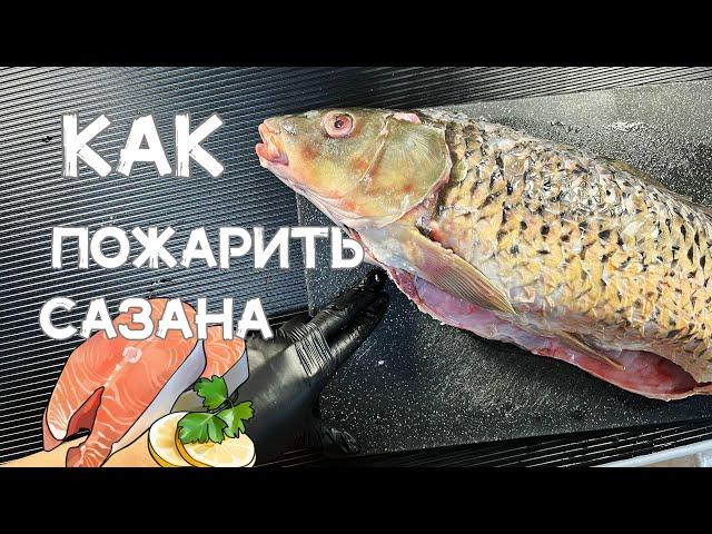 Как жарить рыбу на сковороде/БАЛЫҚ ҚУЫРУ  ӘДІСІ.Как прожарить сазан.FRIED FISH How to cook fish