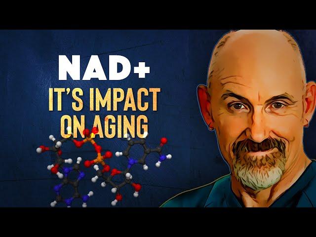 NAD+: How To Raise NAD+ Levels [2024]