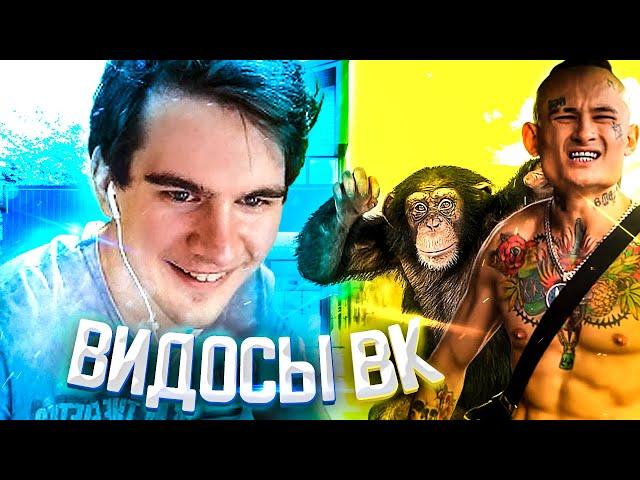 БРАТИШКИН СМОТРИТ ВИДОСЫ В ВК [МЕМЫ, ВЕБМЫ] #5