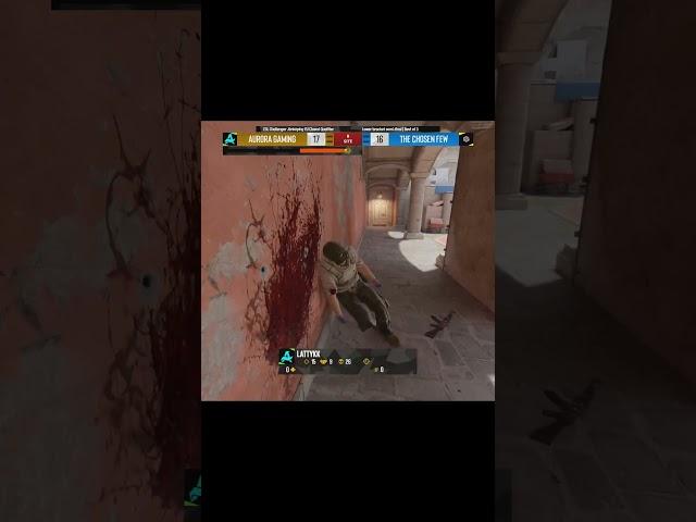 pro player misses everything in CS2
