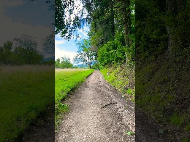 Hiking #BlackForest #mountains at Müllheim #Germany #hiking #schwarzwald #travel #nature #hikerlife