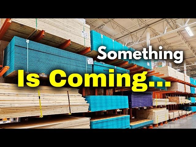 What You Need to Know - Why Plywood Prices Are Still Sky High and What Comes Next...