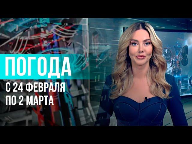 Погода на неделю 24 февраля – 2 марта 2025. Прогноз погоды. Беларусь | Метеогид