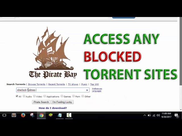 Unblock Torrent Websites