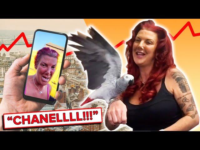 I Accidentally Went Viral: Chanel The Lost Parrot