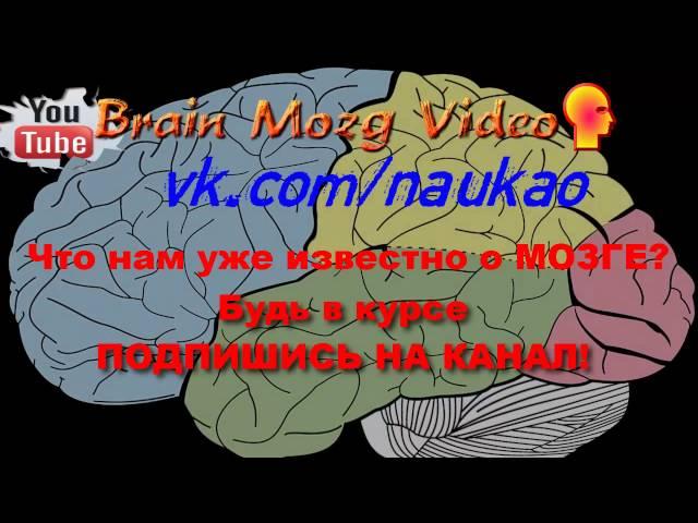 Что Нам (Людям, Человечеству, Науке)  уже известно о МОЗГЕ?