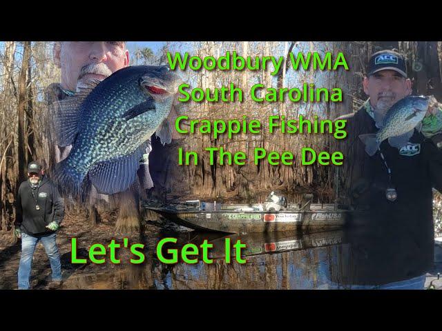 "Chasing Big Crappie in South Carolina’s Hidden Waters  (Woodbury WMA Adventure)"