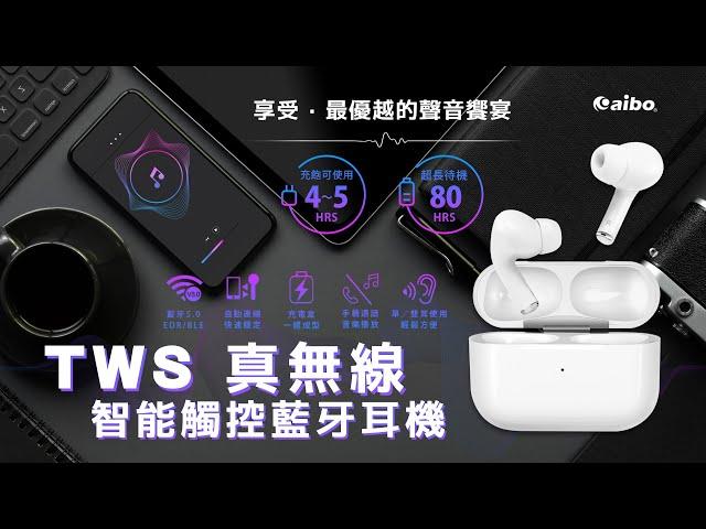 aibo TWS真無線雙耳 智能觸控藍牙V5.0耳機｜LY-MIC-BTDB