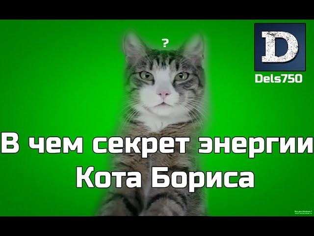 В чем истинный секрет энергии Кота Бориса (RYTP)