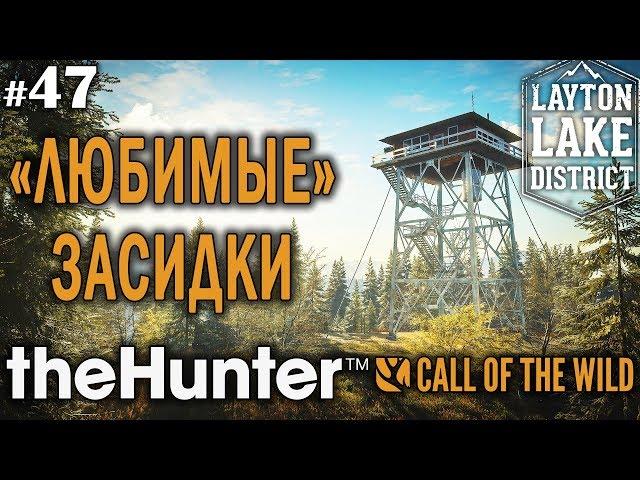 theHunter call of the wild #47  - "Любимые" Засидки - Винтовка - Олень, Медведь