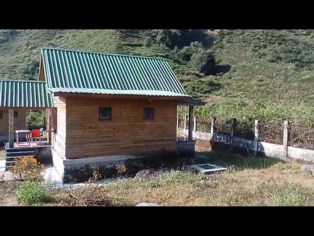 🪵Beltar resort l Dayal Thong Tea Garden, West Bengal l cool area lDooArs#viral #trendingshorts