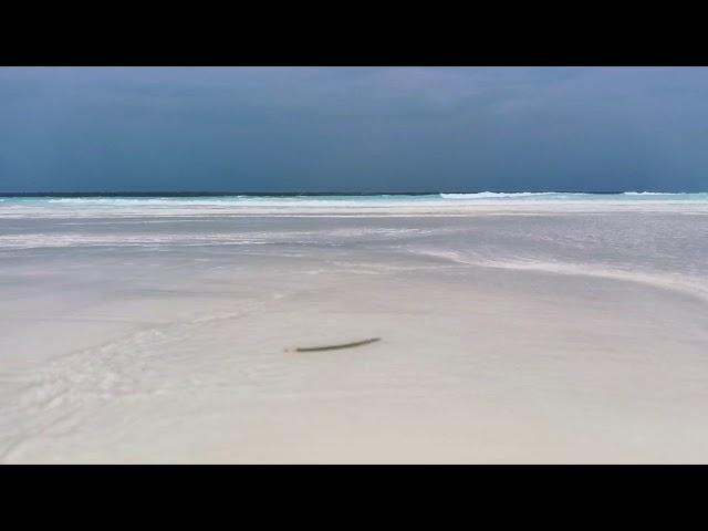 Райский пляж острова Мнемба, Занзибар. Paradise beach of tropical island Mnemba, Zanzibar.