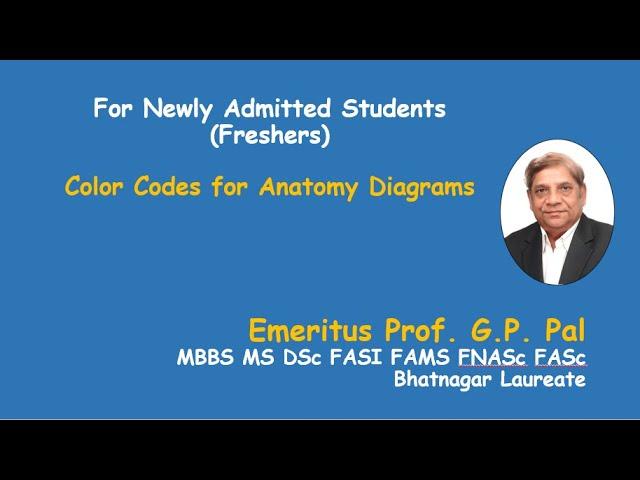 Color codes for anatomy diagrams