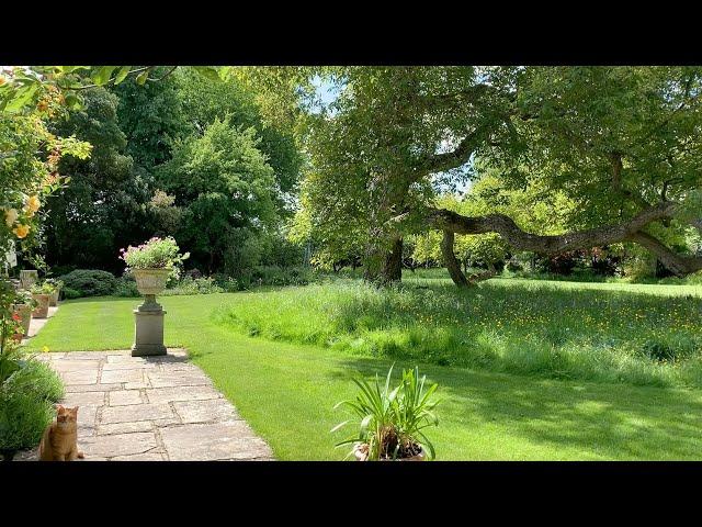 Garden of Roz & Toby Owens, Station Road - with feline security guard!