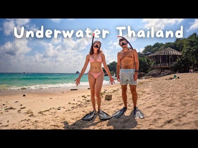 Two Weeks in Koh Tao: What Thailand's Most Famous Diving Island is Like