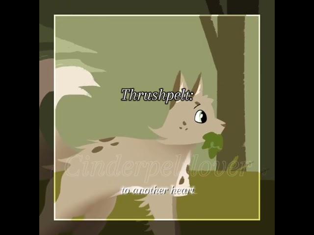 All my tears//Thrushpelt #warriorcats