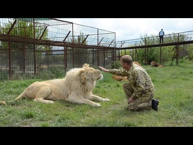 Рокки и Олег Алексеевич