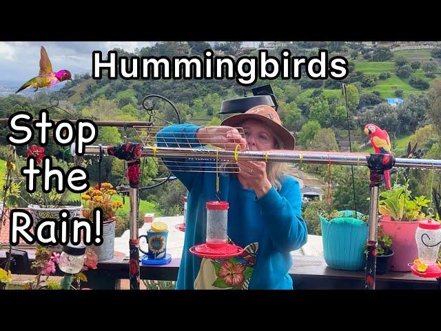 Hummingbird Cheap Shelter COVER SAVING Hummingbirds from Heavy Rain & Hot Sun for Shade & Protection