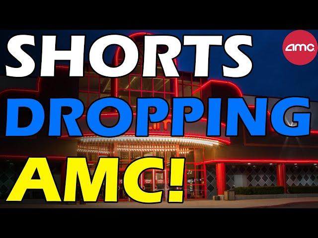 AMC MARKET LEADER! SHORTS DROPPING! Short Squeeze Update