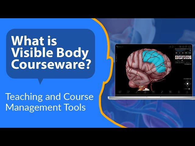 Visible Body Courseware | Interactive 3D Science Content Meets Course Management