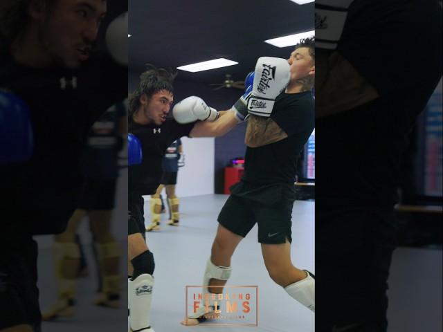 Elite Technical Kickboxing Sparring #boxing #thaiboxing #mma #kickboxing #muaythai #bjj