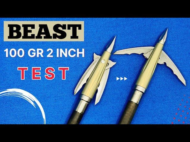 BEAST by BOWMAR, 100 gr 2" Broadhead Test