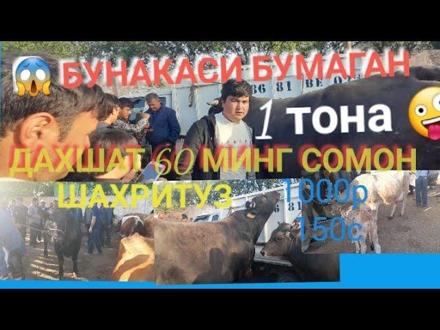 #МОЛБОЗОРИ #ШАХРИТУЗ ХОЛИ БУНАКАСИ БУЛМАГАН 60 МИНГ СОМОН 1 ТОНАЛИК БУКА ДАХШАТ 11 апреля 2021 г.