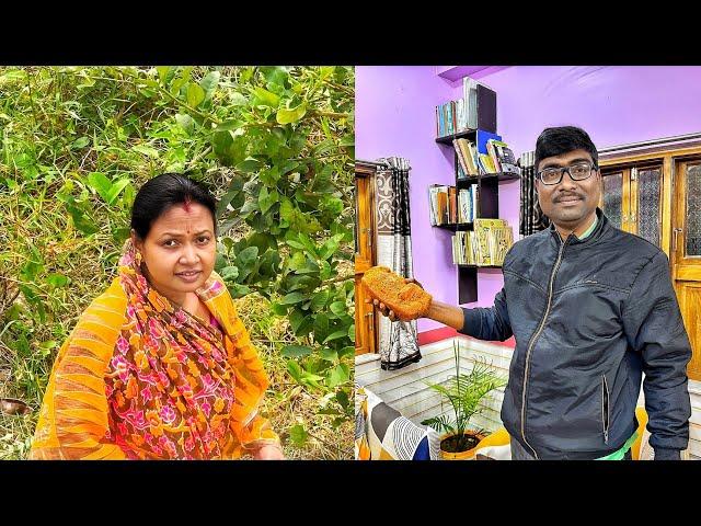 ঋভুর বাবা ফেরার পথে একটি গোটা ইঁটের সাইজের 1KG একটা মিষ্টি কিনে আনল ৷৷ আজ একটু বাগান পরিষ্কার করলাম