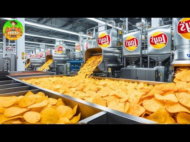 How Lay's Chips Are Made: A Step-by-Step Factory Tour with Modern Food Technology