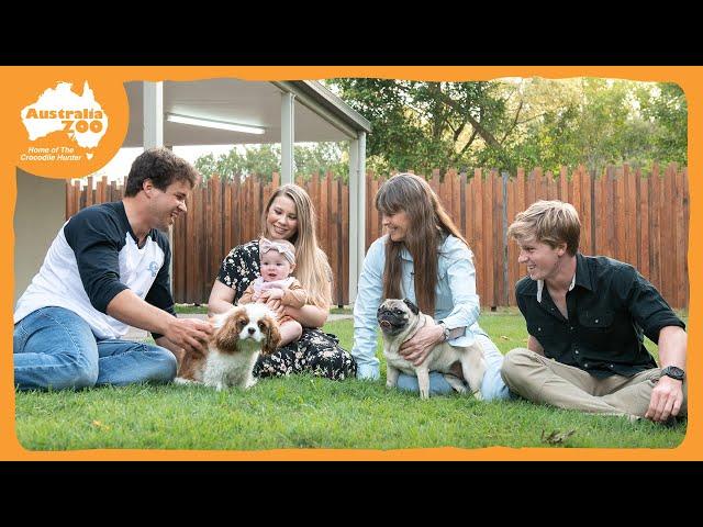 Celebrate National Pug Day | Irwin Family Adventures