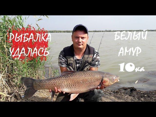 Трофейный амур! Fishing crimea, белый амур рыбалка удалась