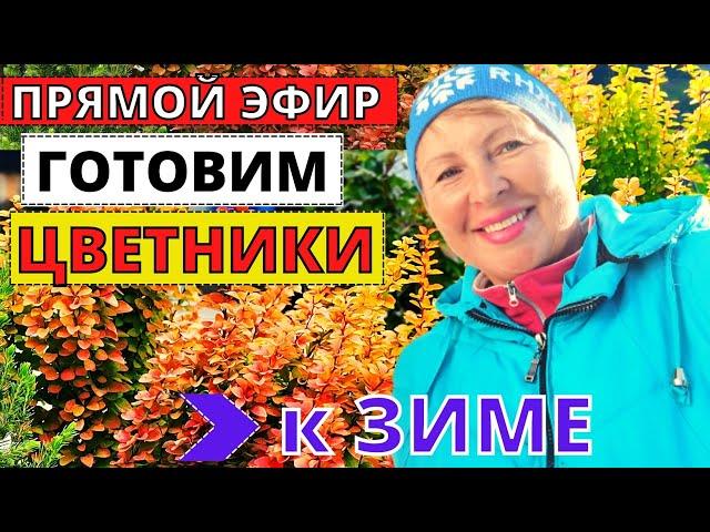 ПРЯМОЙ ЭФИР. Как подготовить цветники к зиме?