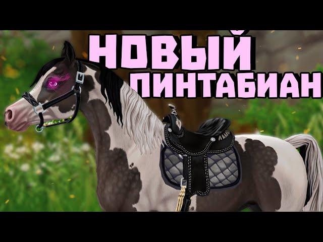 ПОКУПКА НОВОГО ПИНТАБИАНА | НОВАЯ АМУНИЦИЯ И НОВЫЕ МАСТИ МОРГАНОВ | Star Stable