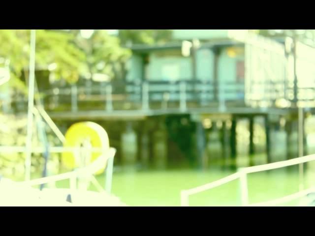 Lil B - Cocaine Feat Pimp C, C Murder, B.G, DIRECTED BY LIL B