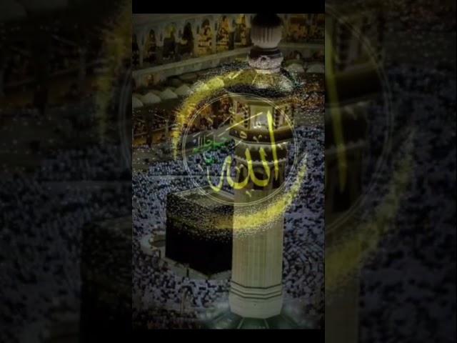 Tere rahmat ka talbgar hon mola#loveMuhammad #short #video #islamicstatus #