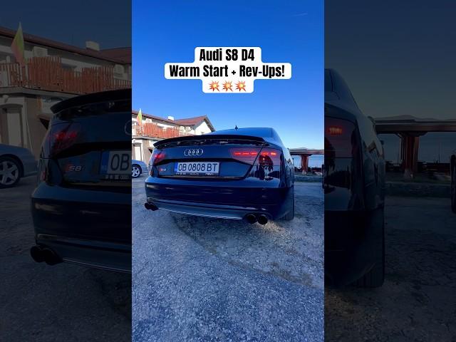 Audi S8 D4 Warm Start + Rev-Ups!