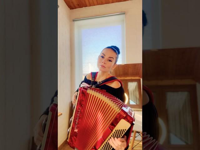 «На сопках Маньчжурии» #вальс #аккордеон #аккордеонист #accordion #accordionplayer #песниподгитару
