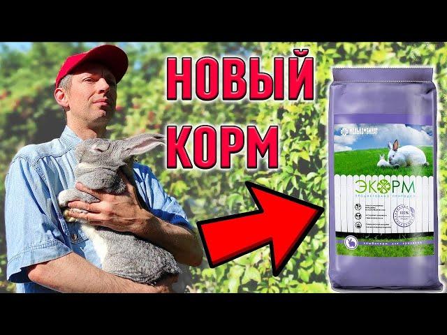 Новый комбикорм для кроликов