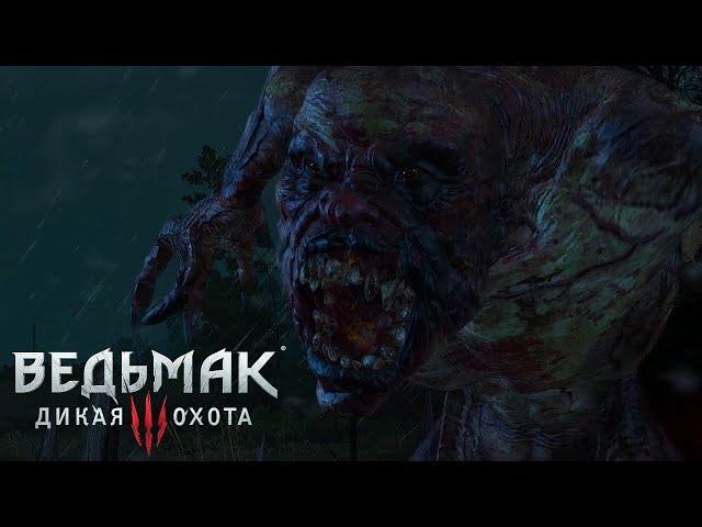 The Witcher 3. Дела семейные - убийство Игоши