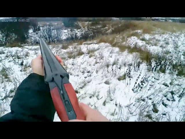 охота на зайца (русака)#ружьё мр 43 #