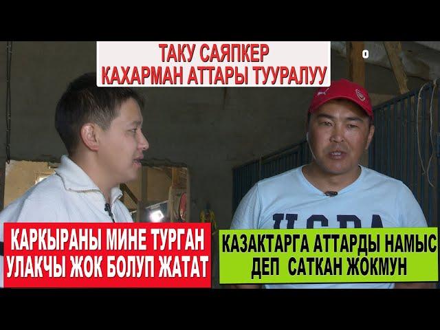 КАЗАКТАРГА АТТАРЫН САТПАГАН ТАКУ САЯПКЕР/ КАХАРМАНДЫН БАЛДАРЫНЫН БААСЫ КАНЧА?/ КАРКЫРА ОЮНГА ДАЯР