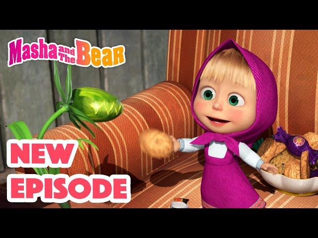 Masha and the Bear 2022  NEW EPISODE!  Best cartoon collection  How to Train Your Plant