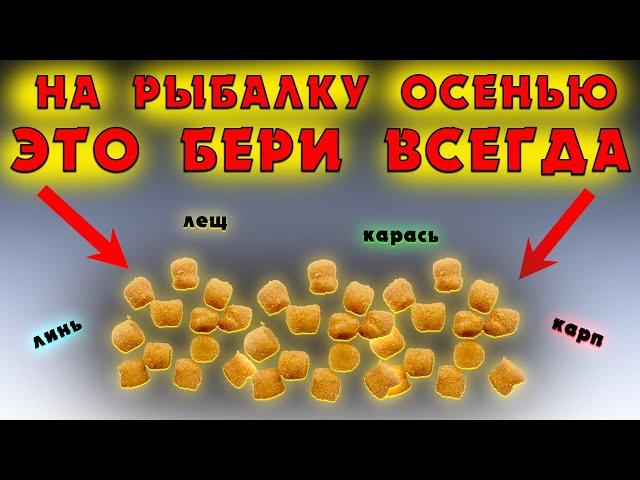 Насадка для рыбалки на КАРПА, КАРАСЯ, ЛЕЩА. Для успешной рыбалки осенью.