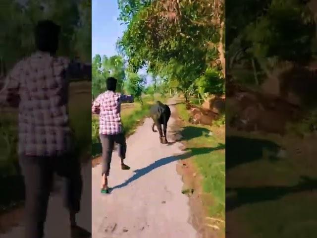 aiysha meri baat suno #shorts #youtubeshort #youtube #youtuber #fyp #for @Sandeep Kumar official 33
