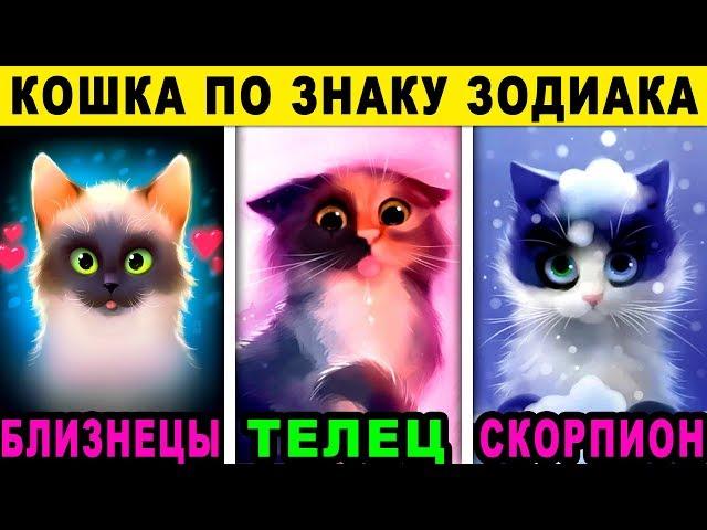 КАКАЯ ПОРОДА КОШЕК ПОДХОДИТ ВАМ ПО ЗНАКУ ЗОДИАКА? Какая ты кошка по знаку зодиака