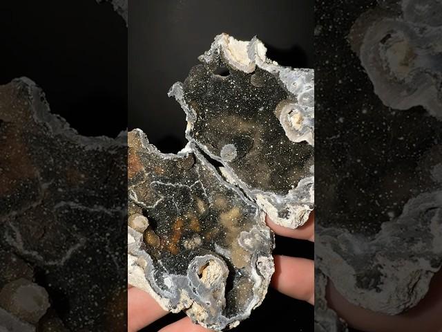 Most Magical Coral Geodes of 2024 🪸 #crystals