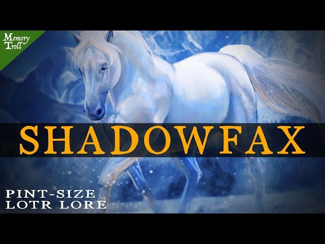 Who Is Shadowfax? | Pint-size LOTR Lore #Shorts