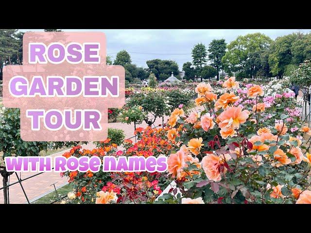 ROSE GARDEN TOUR | with ROSE NAMES