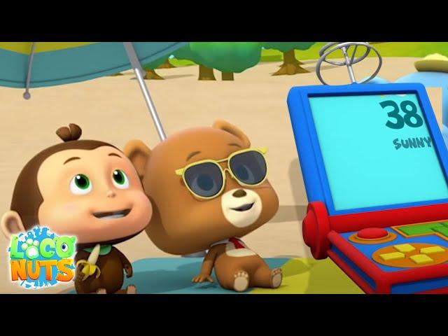 Verão eterno | Série infantil | Loco Nuts Português | Desenhos animados | Vídeos engraçados