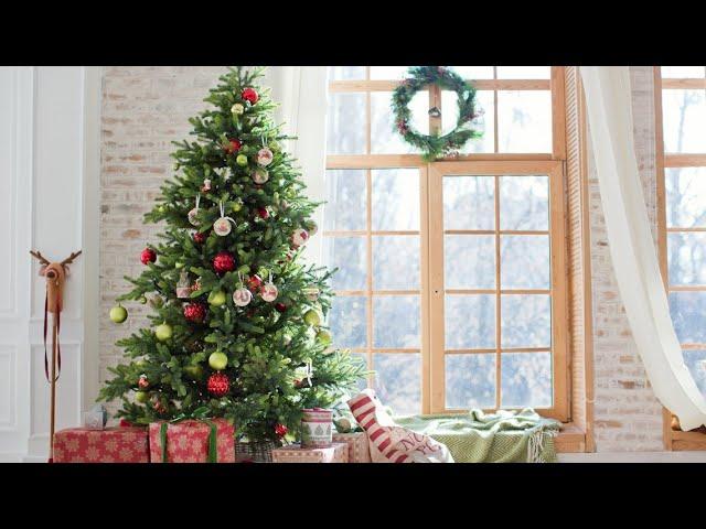 How to get rid of your old Christmas tree for free